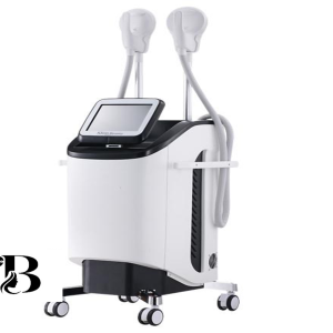 BL-610 EMSlimbeauty